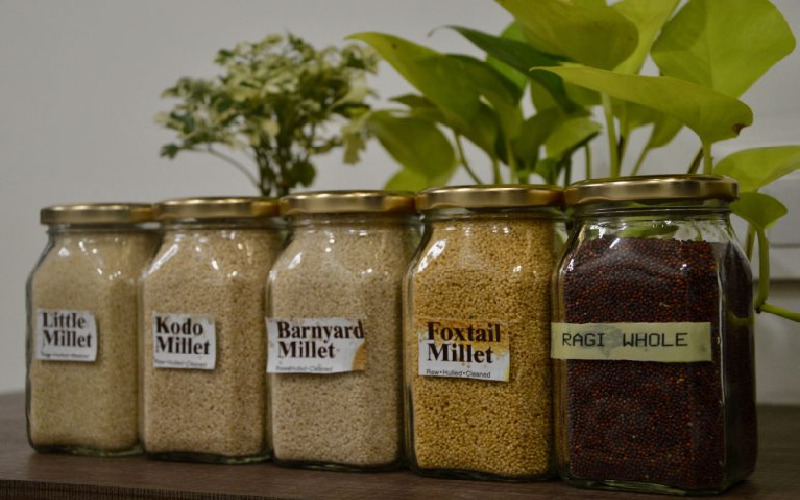 millets-are-food-for-animals-hard-to-digest