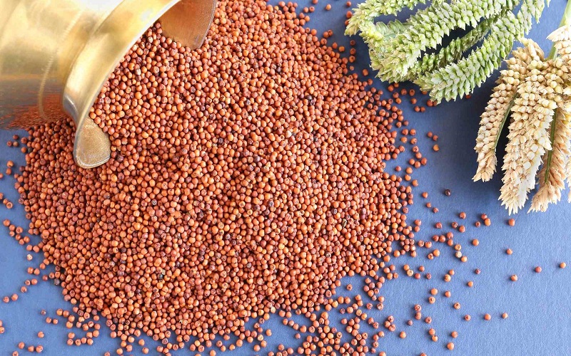 ragi ragi
