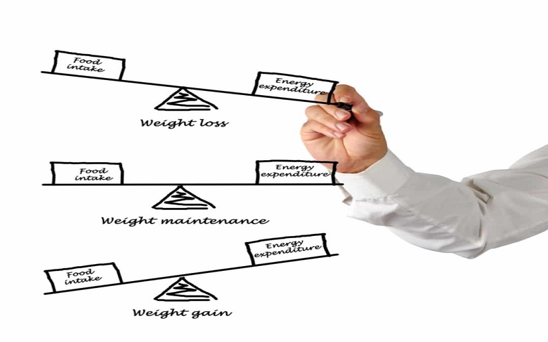 you-cannot-have-chapati-rice-in-meals-if-you-are-on-your-weight-loss-journey