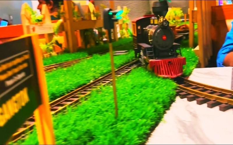 kritunga-train-restaurant